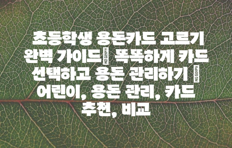 샘플 (43)
