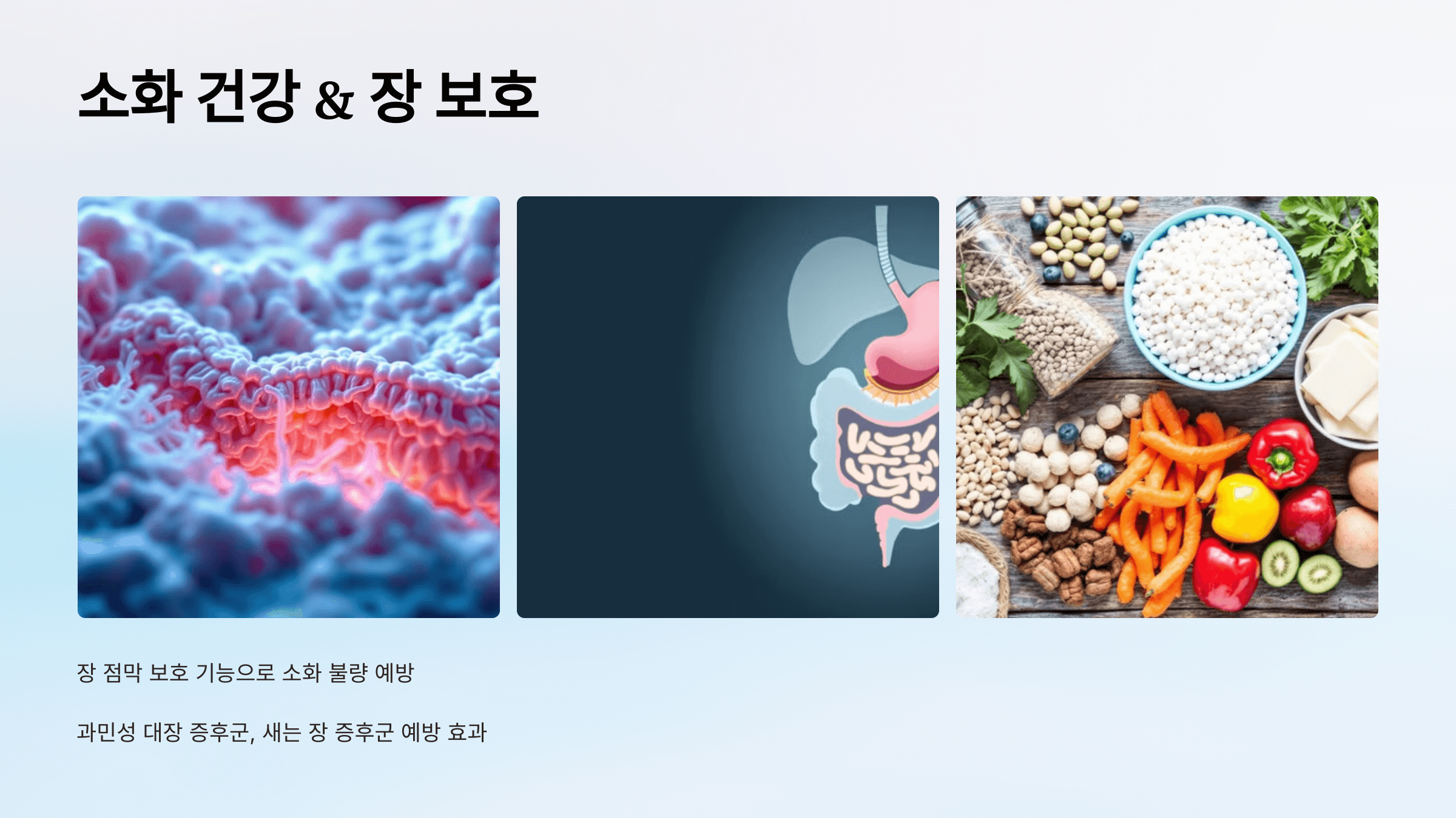 콜라겐과 관련된 사진입니다.