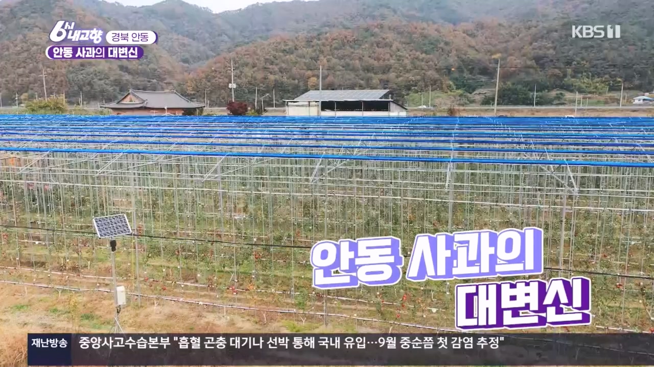 6시 내고향.E7907.231108p.H264-F1RST.mp4_20231108_204716.510.jpg