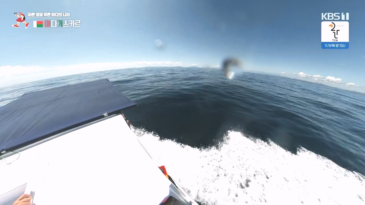 걸어서 세계속으로.E814.231022p-NEXT.mp4_20231022_170330.361.jpg