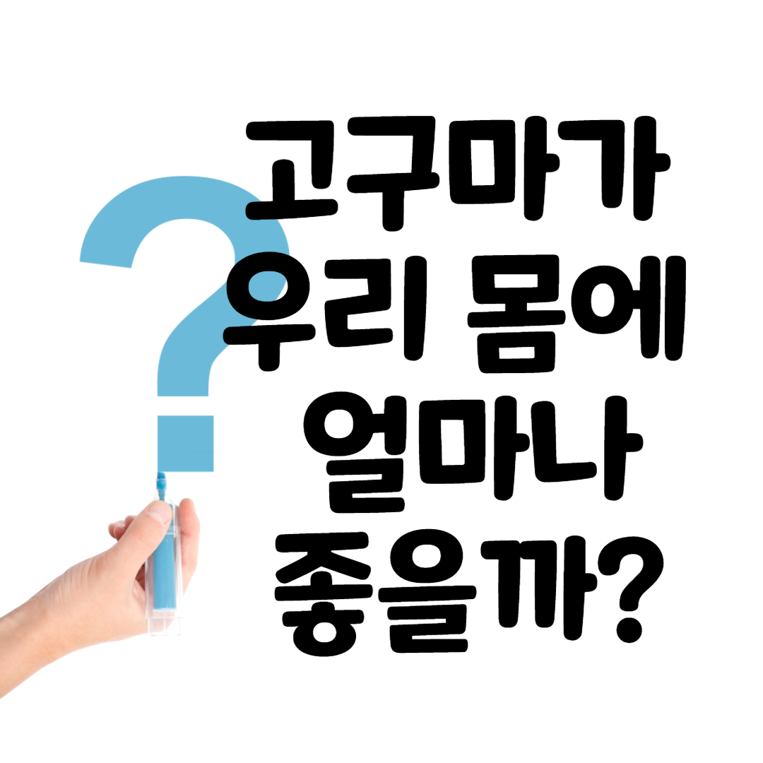  고구마가 우리 몸에 얼마나 좋을까? 영양성분부터 보관방법까지