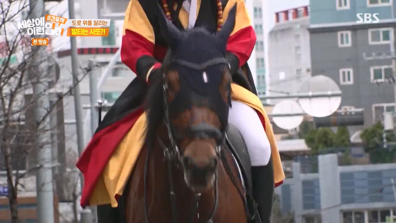 순간포착 세상에 이런일이.E1267.240303p-NEXT.mp4_20240303_163246.347.jpg