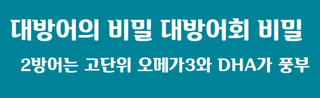 대방어의 비밀 대방어회 비밀 2방어는 고단위 오메가3와 DHA가 풍부