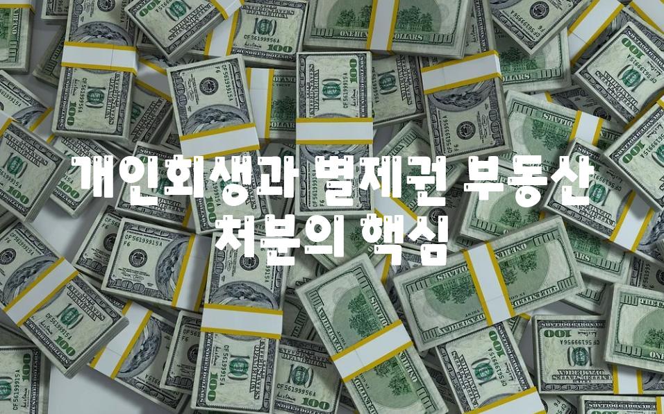 개인회생과 별제권 부동산 처분의 핵심