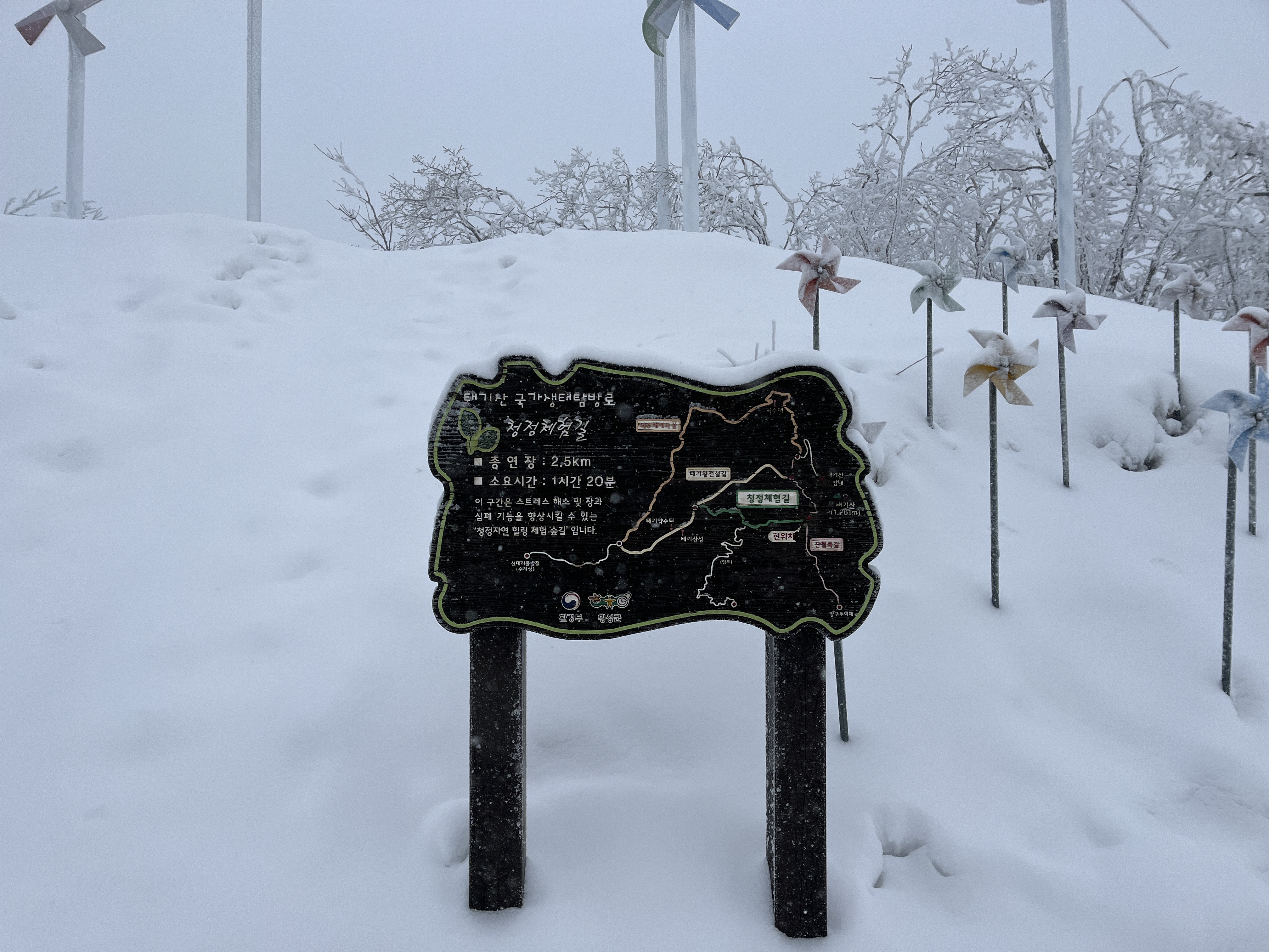 태기산