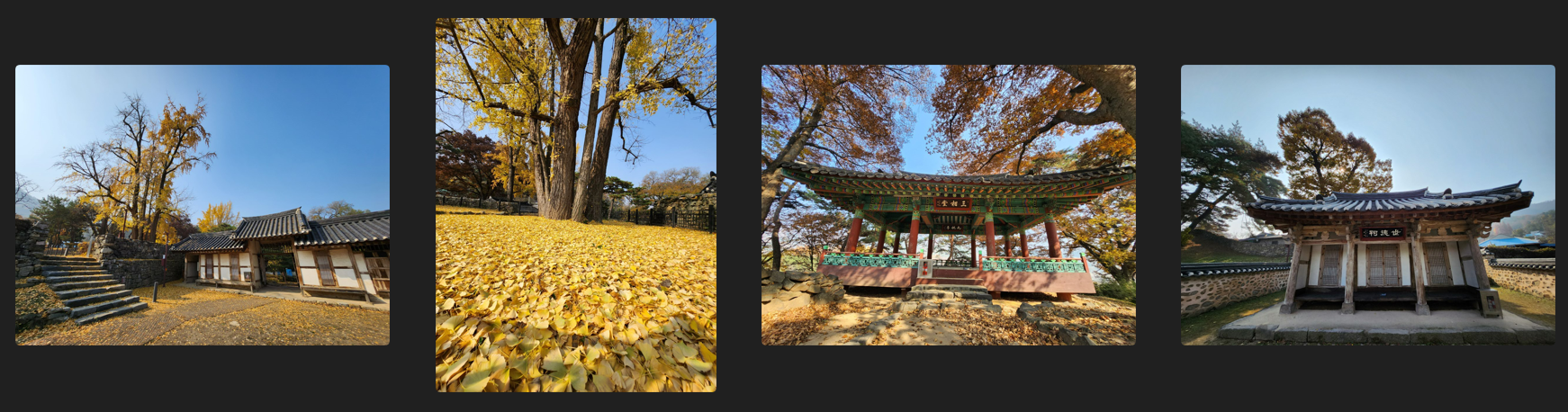맹씨행단구괴정