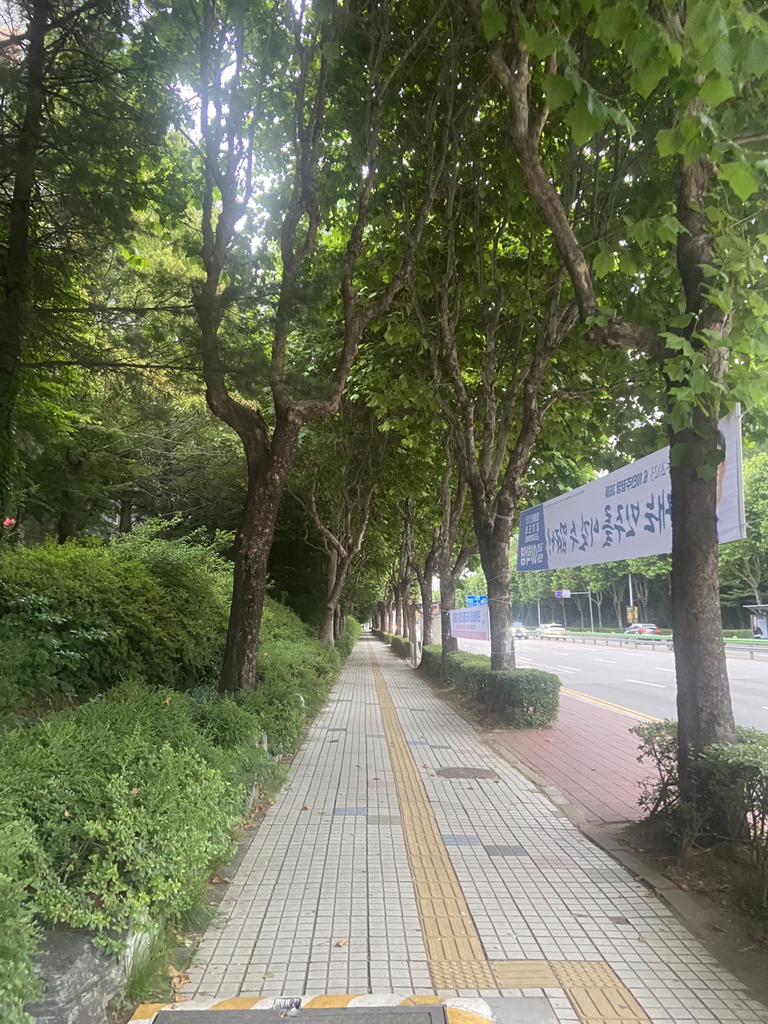  음악 추천 시작