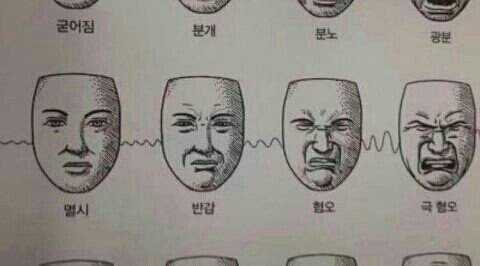  어이없을때 유용한짤