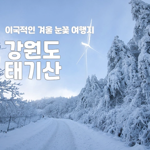  이국적인 겨울 눈꽃 여행지 - 강원도 태기산