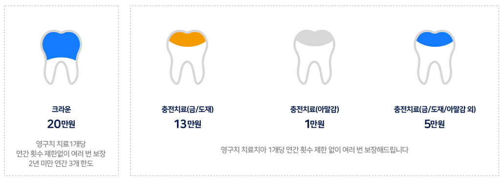 보존치료 보장 예시