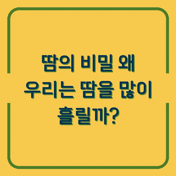 땀의 비밀 왜 우리는 땀을 많이 흘릴까?
