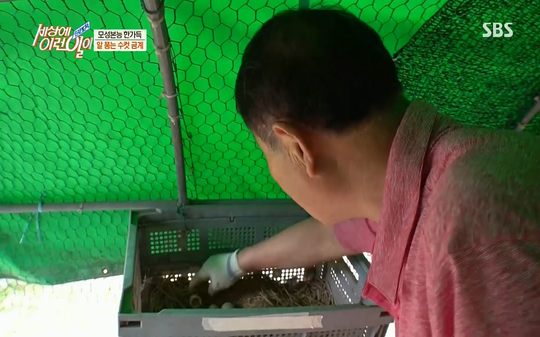 순간포착 세상에 이런일이.E1191.220802p.H264-F1RST.mp4_20220803_202132.337.jpg