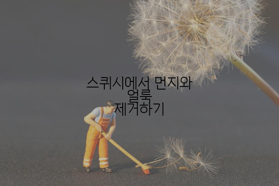 스퀴시에서 먼지와 얼룩 제거하기