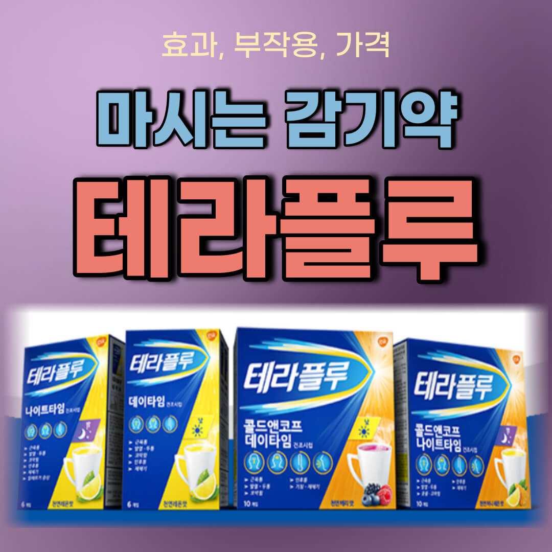 테라플루 종류