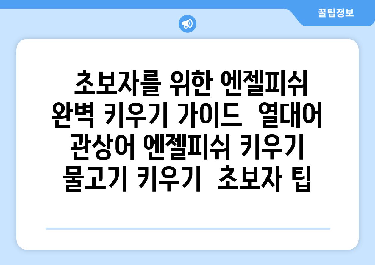 ## 초보자를 위한 엔젤피쉬 완벽 키우기 가이드 | 열대어, 관상어, 엔젤피쉬 키우기, 물고기 키우기,  초보자 팁