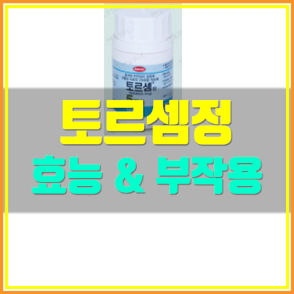 토르셈정 효능 부작용