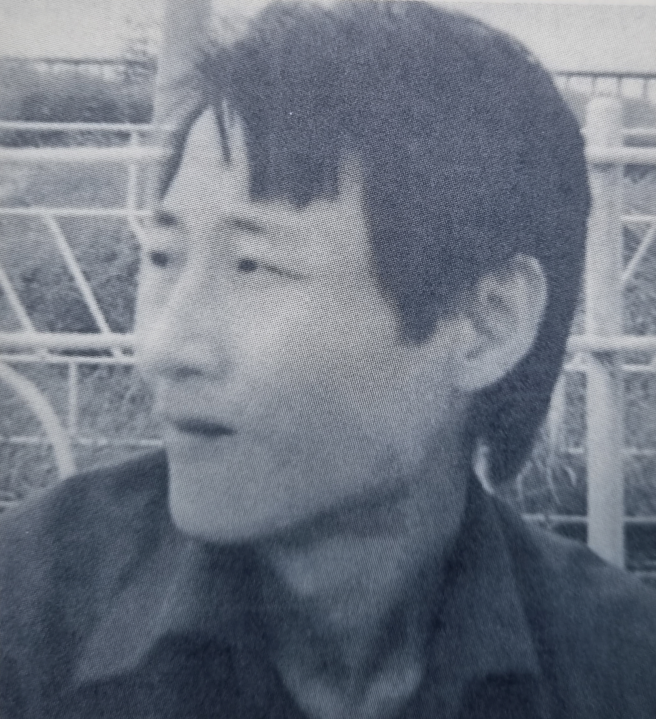 송다방 이미지