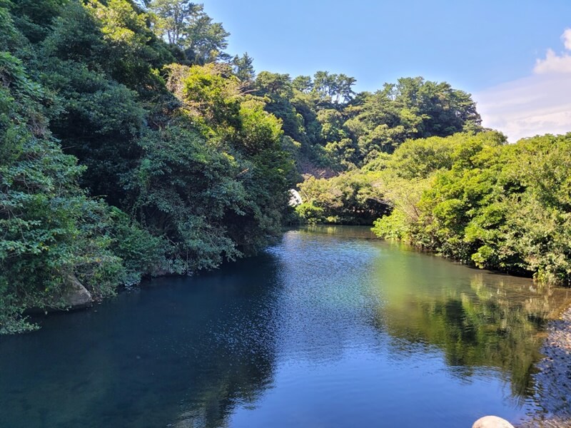 제주도-천지연-폭포-전경사진1