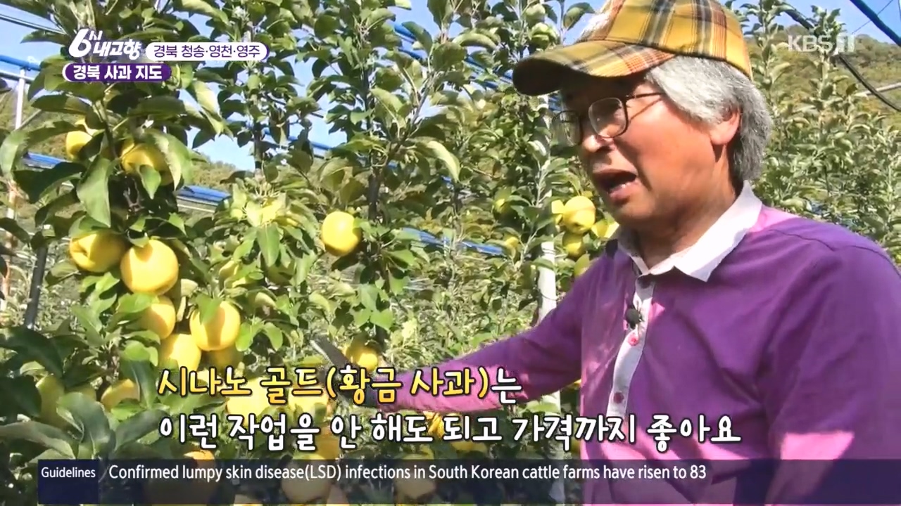 6시 내고향.E7907.231108p.H264-F1RST.mp4_20231108_204118.721.jpg