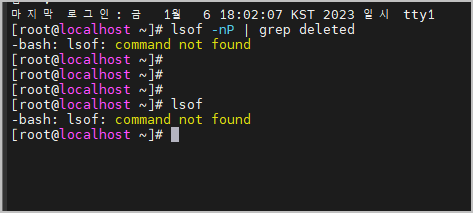  리눅스 파일 사용량 측정 lsof 명령어 사용 방법