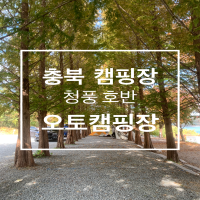  충북 캠핑장 추천 청풍호반 오토캠핑장