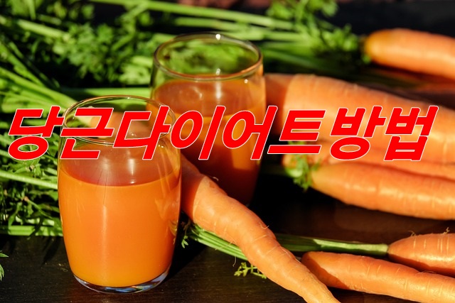  살찌지 않게 먹는  당근 다이어트