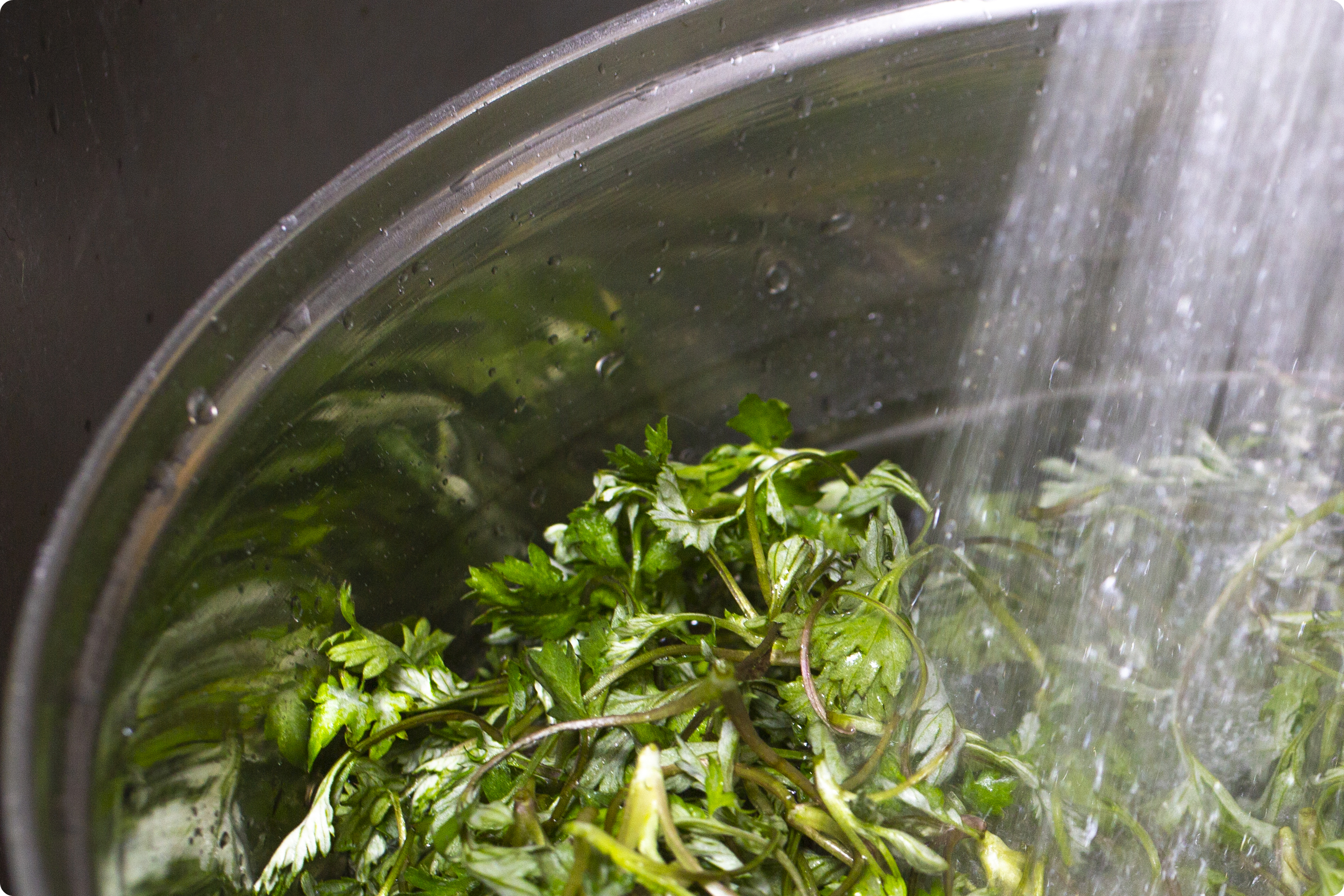 쑥 케어 , 쑥접시