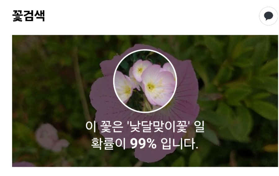 꽃검색 결과 화면