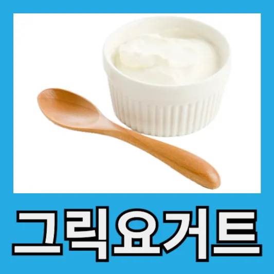 직장인 그릭요거트 효능 단백질 칼로리 함량 프로바이오틱스 일반요거트 그릭요거트 차이