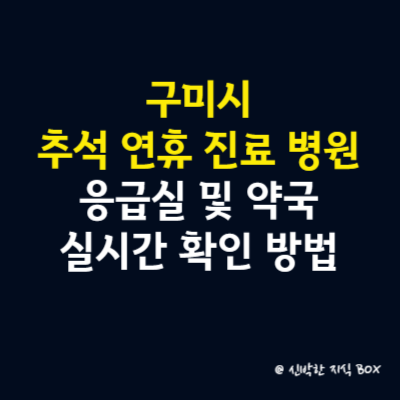 구미시 추석 연휴 진료 병원 안내, 응급실 및 약국 실시간 확인 방법