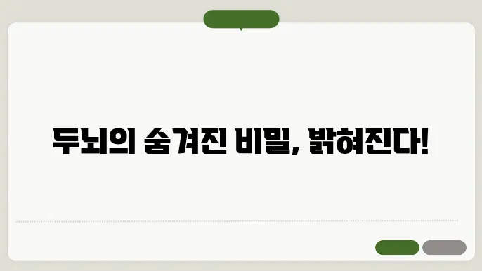 인간 두뇌의 비밀: 신경과학의 발전