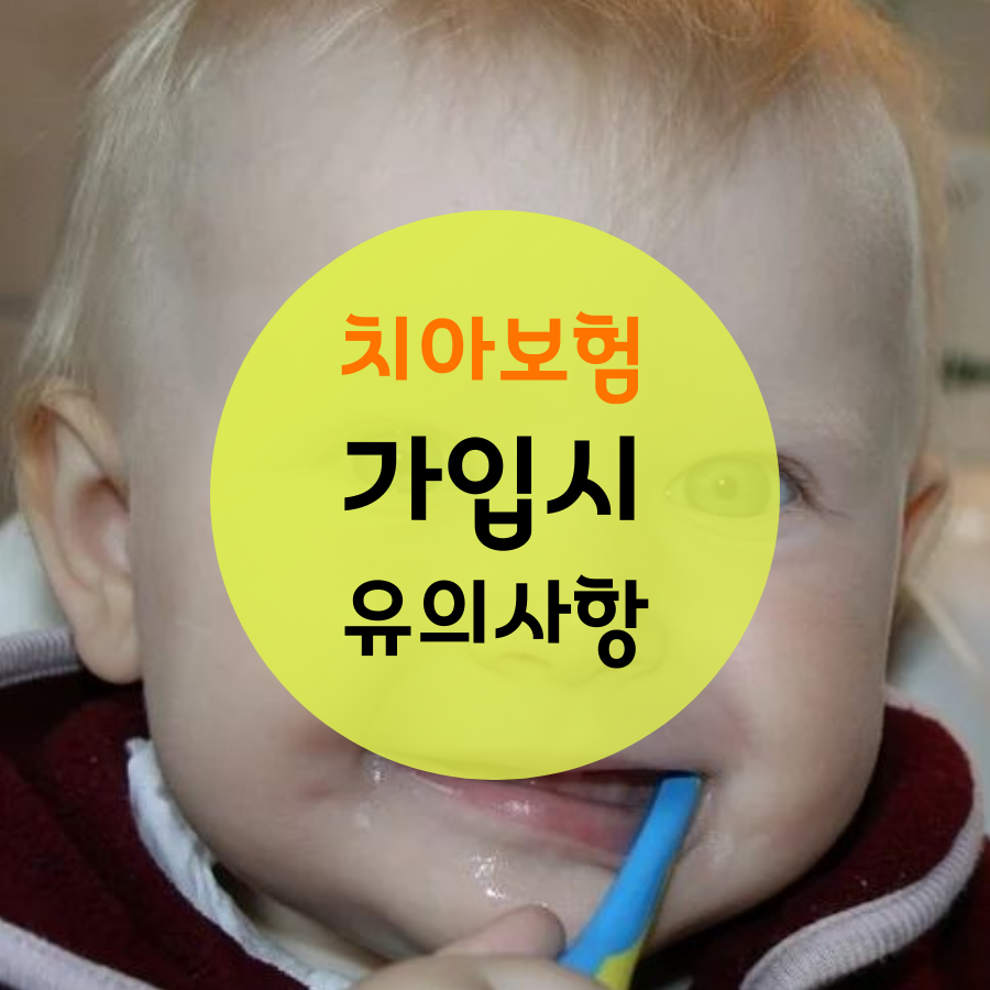  치아보험 가입시 주의 할 사항_속지 않는 법