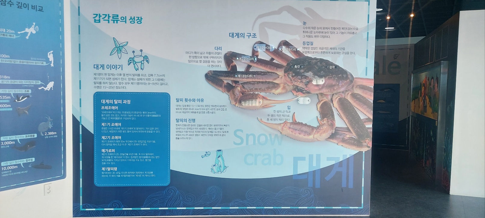 포항에 구룡포에있는~ 과메기 11
