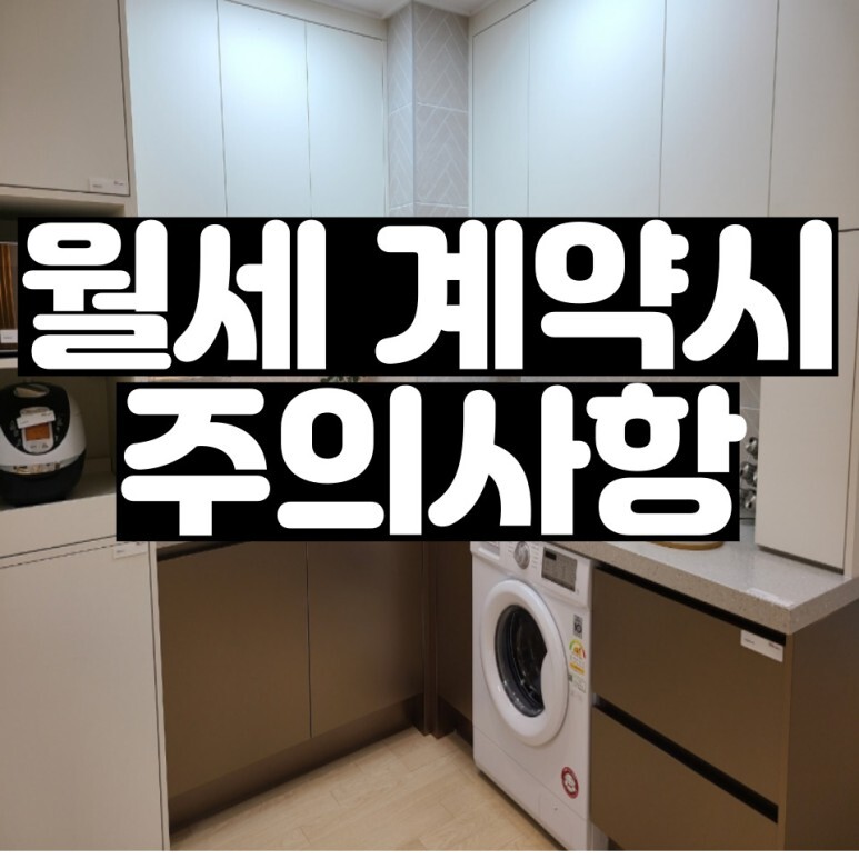  부동산 월세계약시 주의사항 알아가자