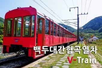 백두대간협곡열차 v-train 예매 시간표 영주 철암_26