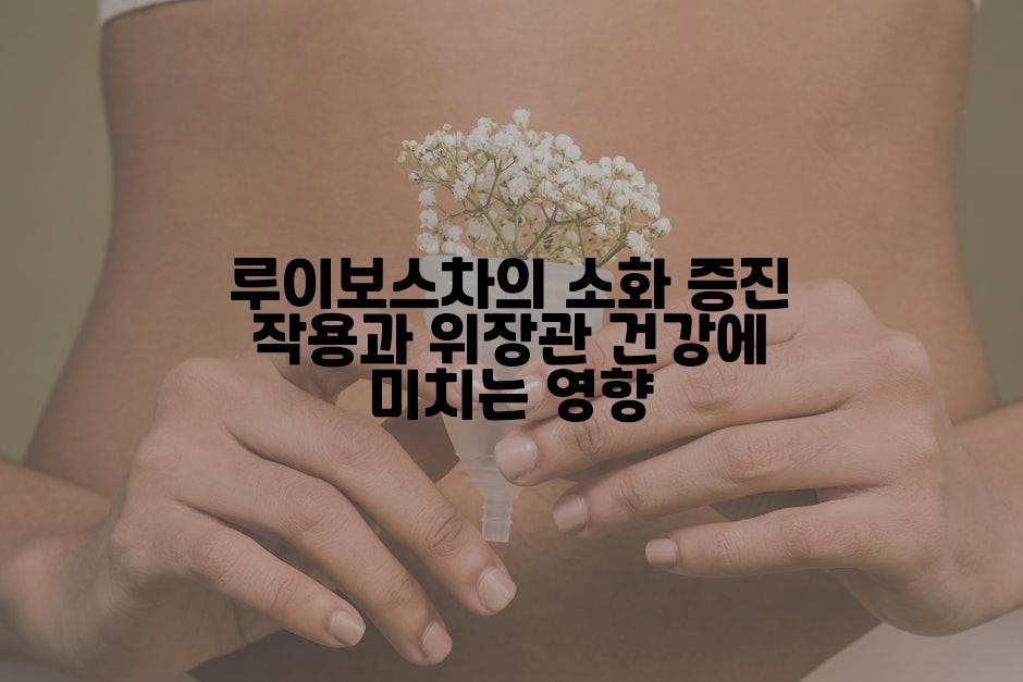 루이보스차의 소화 증진 작용과 위장관 건강에 미치는 영향