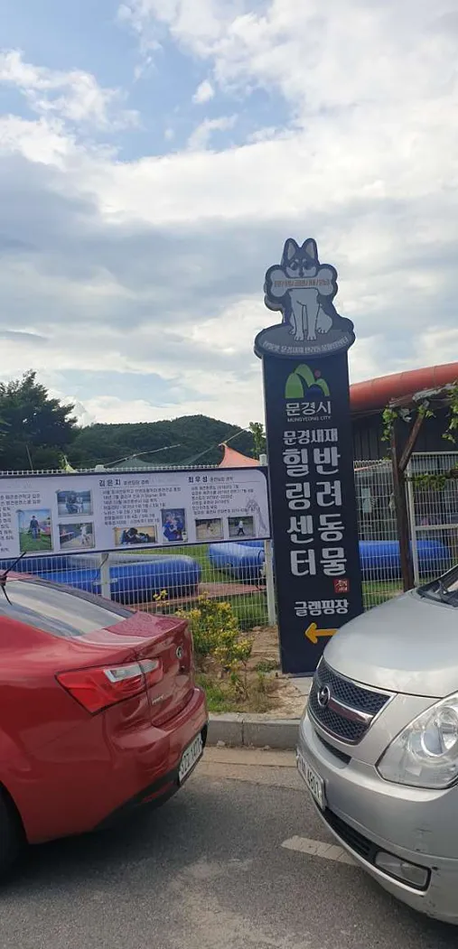 젠틀펫파라다이스