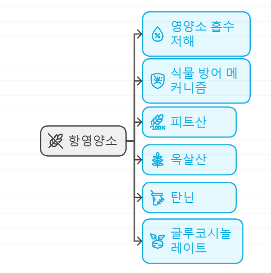 항영양소 종류