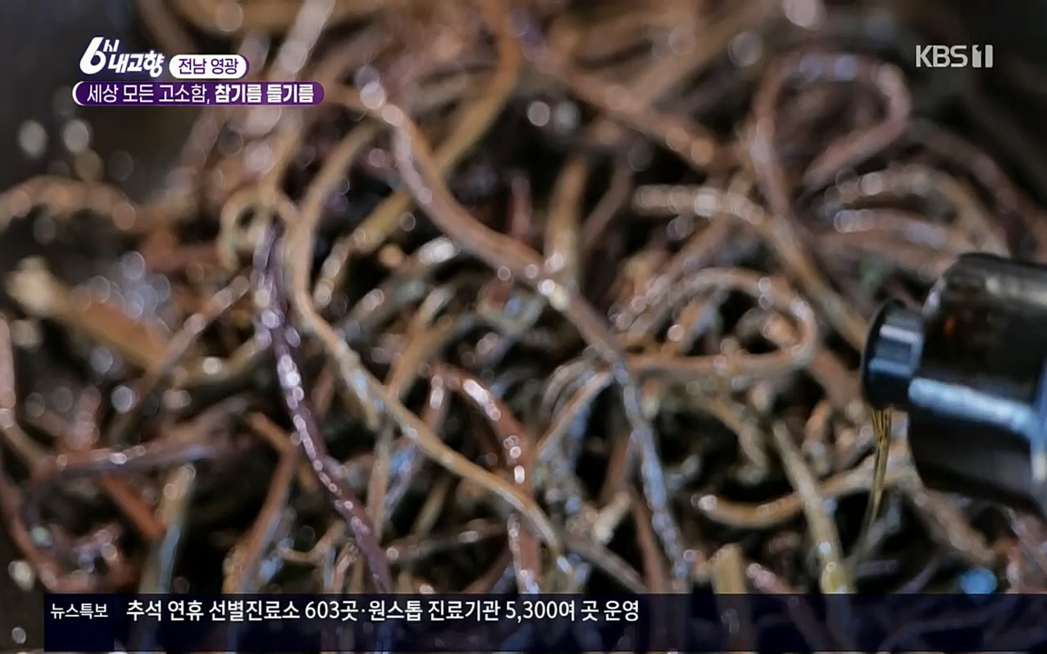 6시 내고향.E7608.220832p.H264-F1RST.mp4_20220901_204359.367.jpg