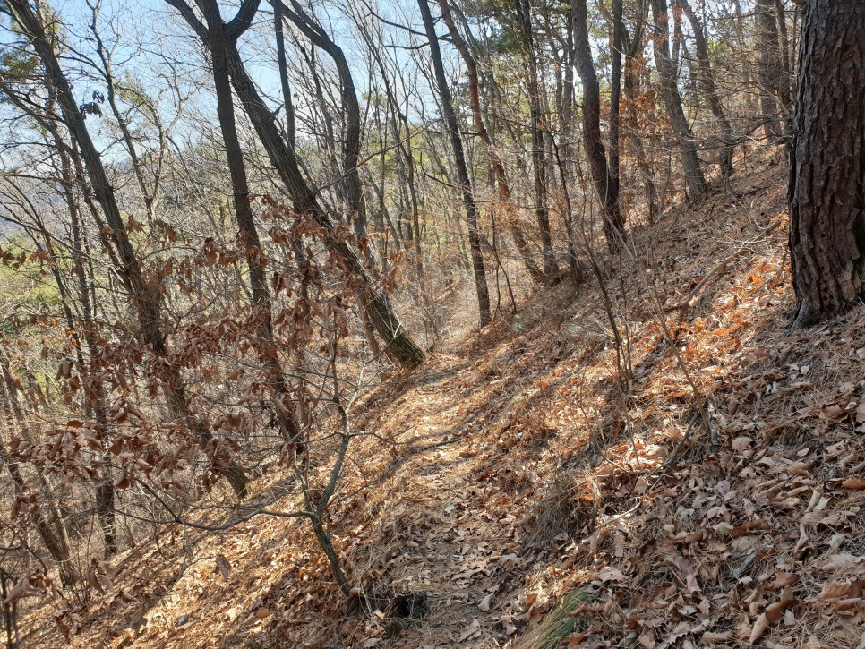 변산 - 수암봉 산행 10