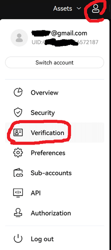 PC 상단의 Verification 클릭