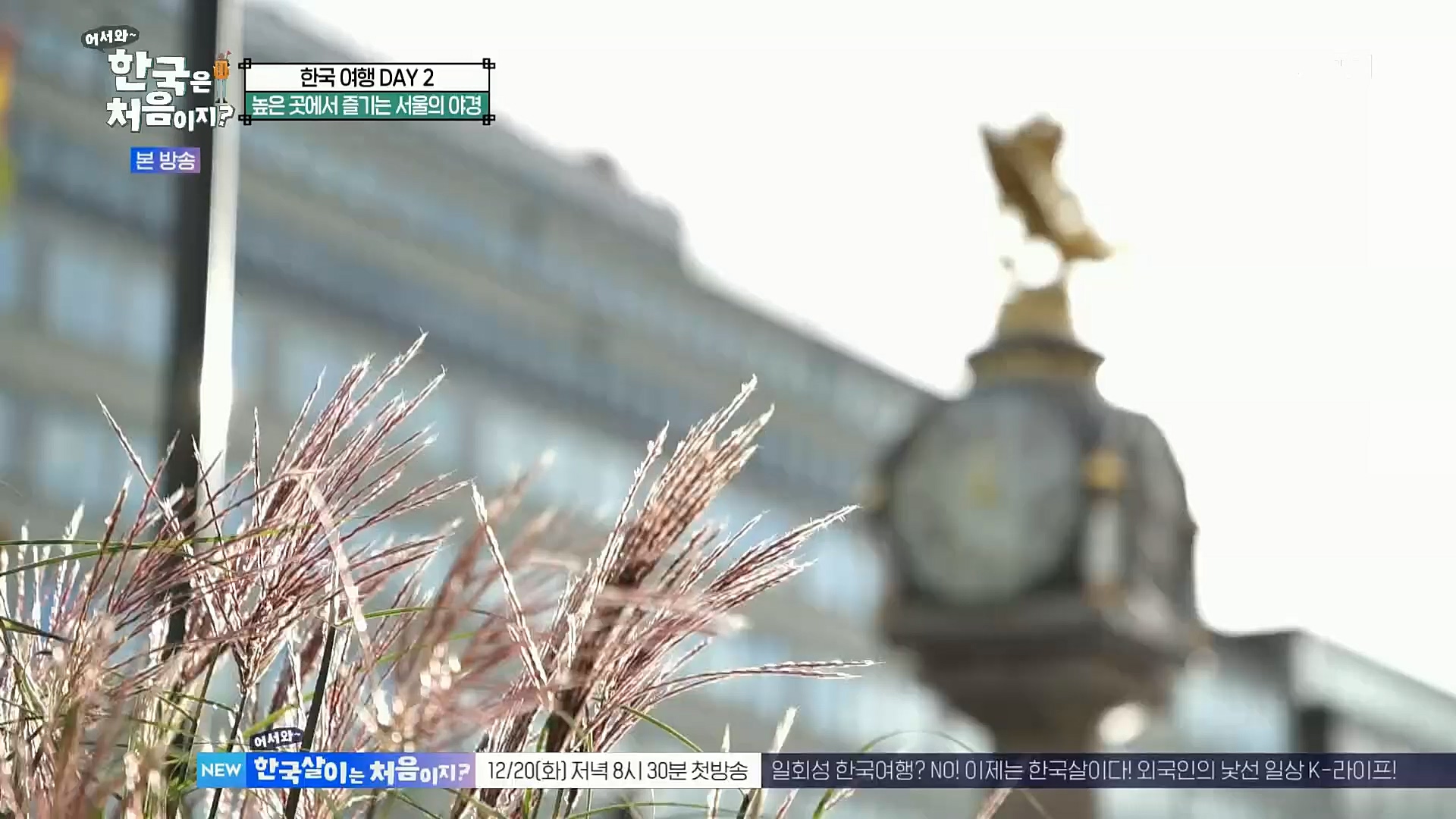 어서와~ 한국은 처음이지.E273.221208p.H264-F1RST.mp4_20221209_200236.132.jpg