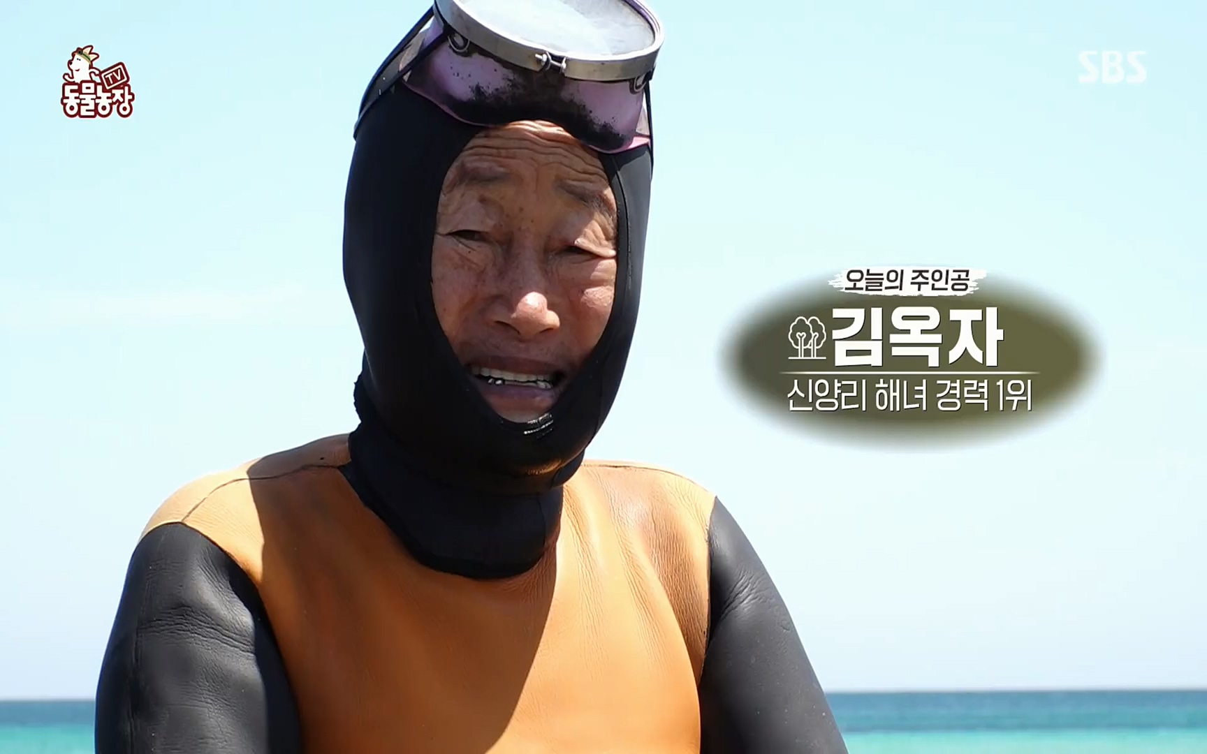 TV 동물농장.E1073.220612p.H264-F1RST.mp4_20220612_180417.853.jpg