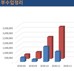  11월 부수입(누계 정리)