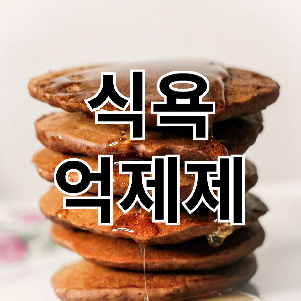 식욕억제제