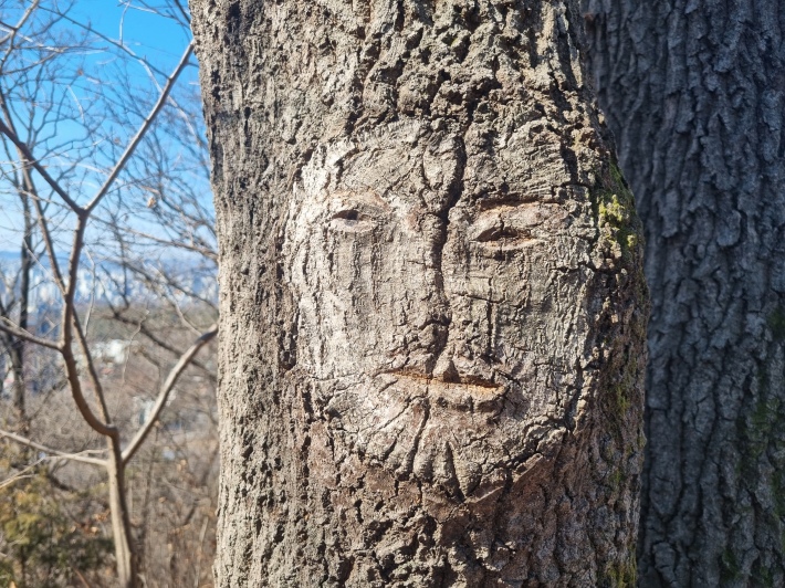 나무기둥-얼굴-조각