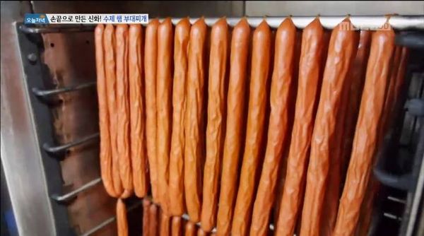 햄바라기 이미지