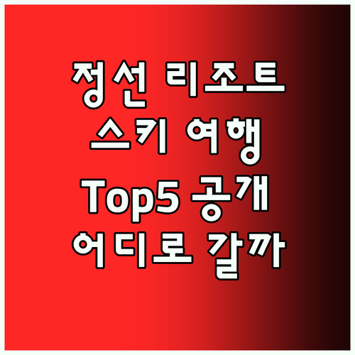 정선 리조트 Top5! 겨울 스키 여