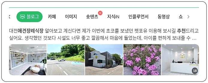 애견장례식장 추천_1_subsection