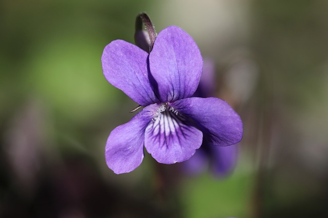 수현나비(이수현X최정훈) - 대화가 필요해 [유희열의 스케치북/You Heeyeol’s Sketchbook] | KBS